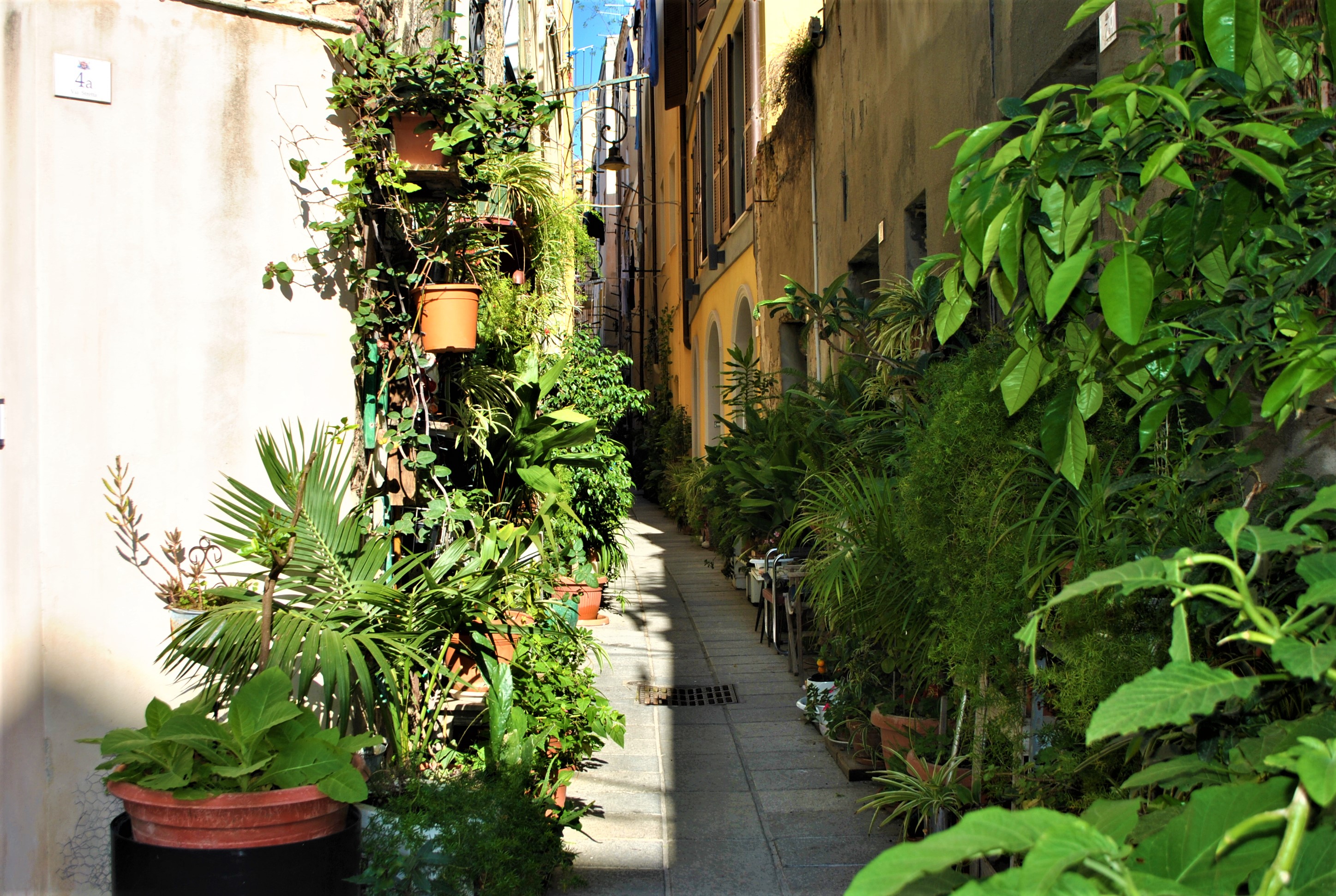 Read more about the article Walking tour ancient Cagliari and market