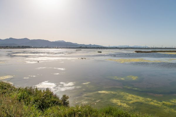 Saline Conti Vecchi_tziu Mariu (1)