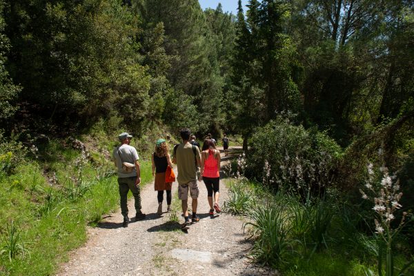 TREKKING