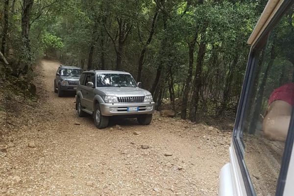 jeep fun2
